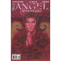 ANGEL - AFTER THE FALL 1